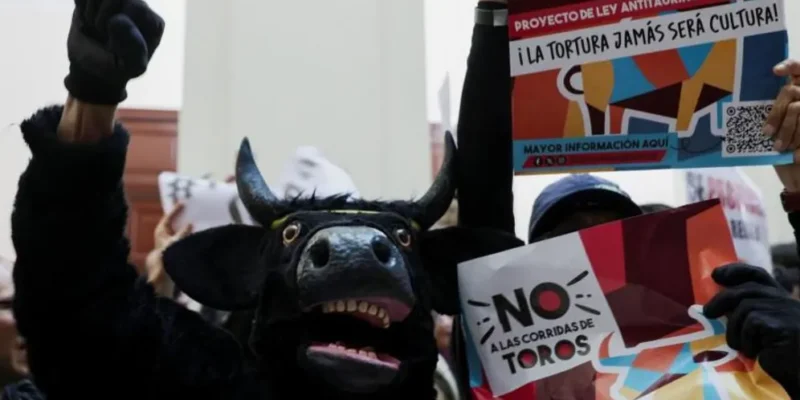 Kolombiya Parlamentosu boğa güreşlerini yasakladı